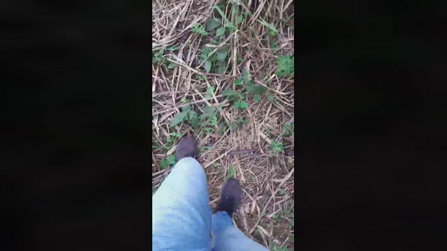 Synbaherrera  22-09-2022